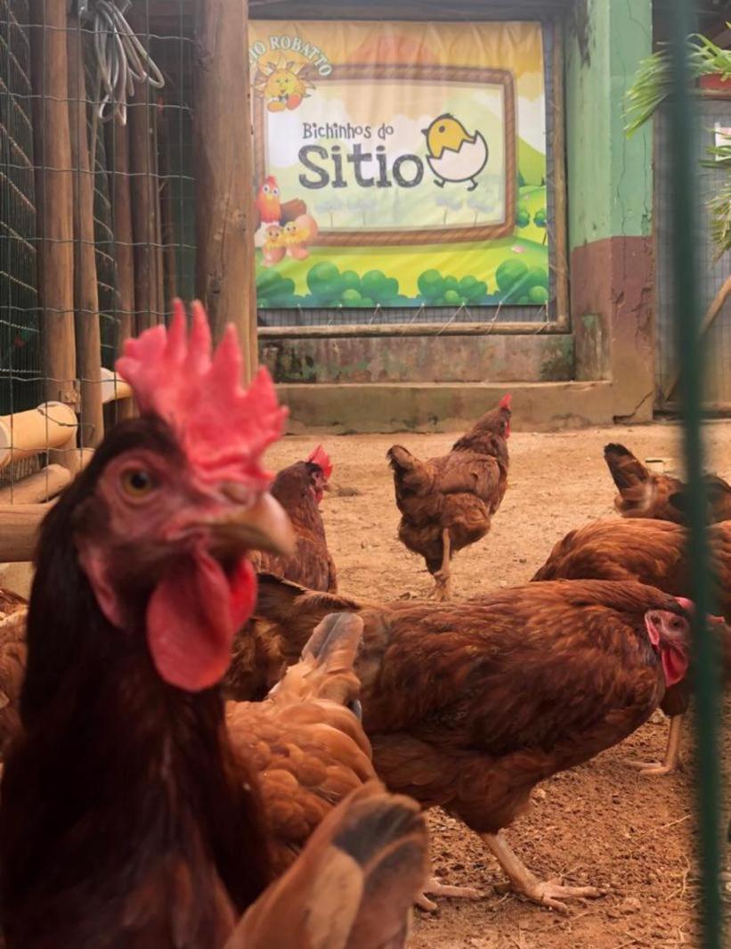 Sitio Robatto Ecopousada Camaçari Exteriör bild